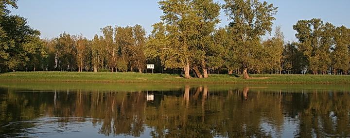 Gaestepension - Elsterland Am Sport- Und Freizeitpark Eksteriør billede